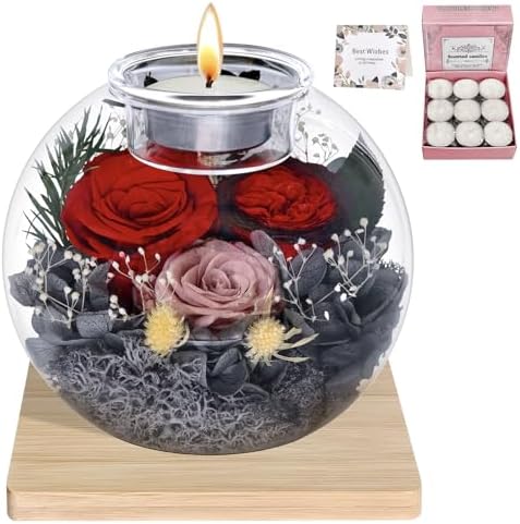 Preserved Roses Birthday Gifts for Her, Flower in Glass Dome with Scented, Flower for Women Mom Wife Daughter Girlfriend on Birthday Mothers Day Anniversary Valentines Day Christmas (Red)