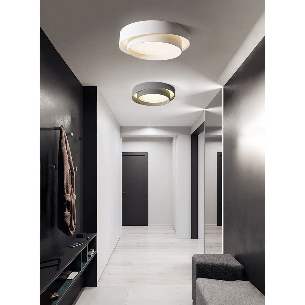 Lampada da soffitto dimmerabile 3000K-6000K, doppia plafoniera rotonda in ferro battuto, lampada da soffitto incorporata, lampada piatta con paralume in acrilico e Hungry Oh è la decorazione d