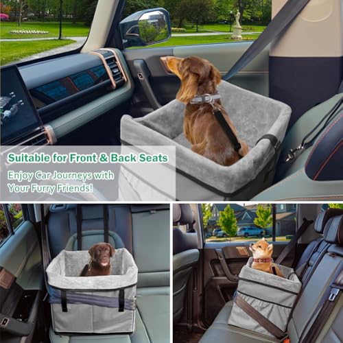 Vivifying Hunde Autositz - Hundesitz Auto Rückbank, Sicherer und Stabiler Autositz Hund mit Gurtbefestigungshaken und Plüschkissen für Hunde bis 11 kg 41x33x36 cm (Grau)