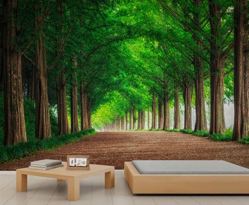 Nature Forest Tree Mural Tropical Rainforest Green Forest Wall Murals Park Trail Scenery Wallpaper Large Natural Landscape Wallpaper for Bedroom Dining Room 157.5