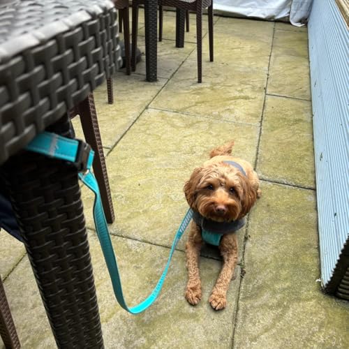MUDLESS Reflective Waterproof Dog Leash with Buckle Handle - Image 4