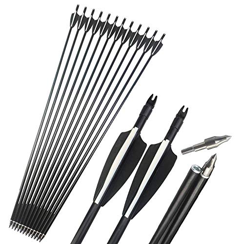  Flèches en Fibre de Verre Flèches de Sport de ...