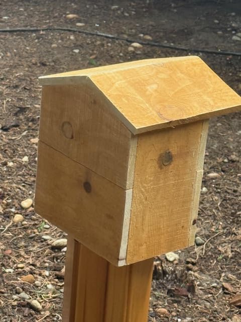Squirrel Nesting House Habitat Box, Natural Western Red Cedar, 10x6.5x11.5 Inches with 3 Inch Entry and Predator Shield, Handcrafted