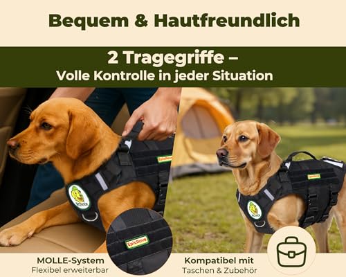 EpicRove Hundegeschirr für mittelgroße & große Hunde – Modell RoveVest Air, leicht & atmungsaktiv, verstellbar, ideal für Spaziergänge, Wandern & Outdoor-Abenteuer