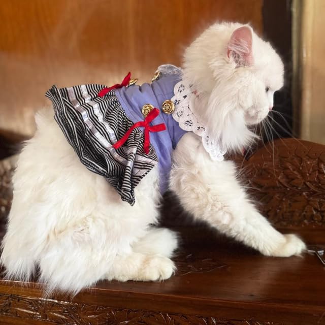 Lulala Pet Cloth Cute Pet Sundress Ribber Work Pet Princess Dress Puppy Summer Apparel Clothes Pet Skirt Shirt with Ruffles lace on Collar for Small Pets (10 Inch,Light Blue)-image-29