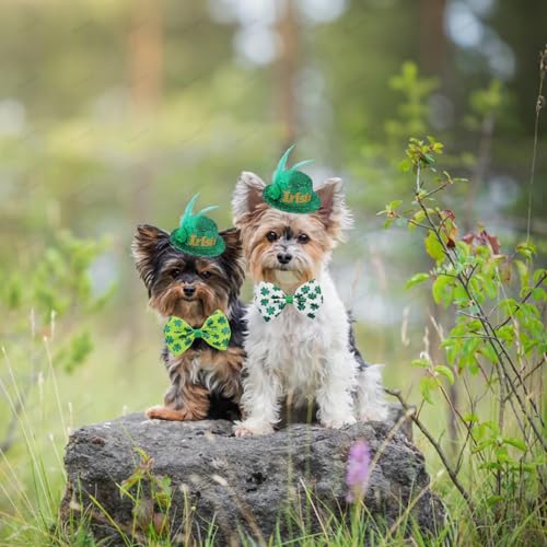 Sombrero de disfraz con trébol verde para mascota pequeño miniatura 3
