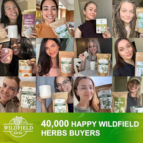 Image of 40 Bags Dried Horsetail Herb Tea Shavegrass Cola De Caballo Hierba (Equisetum Arvense) - 40 Count 1.5 g Tea Bags Horsetail Leaf Leaves Herb