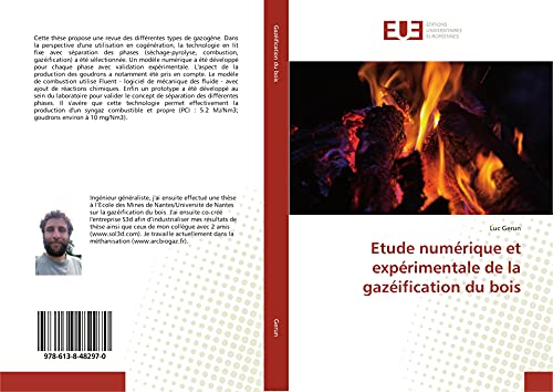Etude numérique et expérimentale de la gazéification du bois (French Edition)