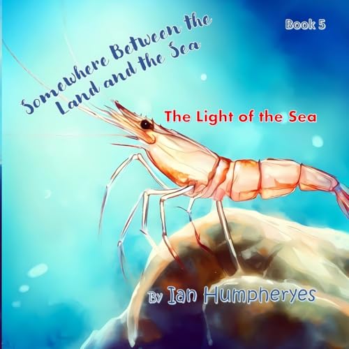 Somewhere Between The Land And The Sea: The Light Of The Sea (Somewhere Between The Land And Sea)