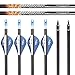 Musen Pure Carbon 30 inch Arrows Hunting Arrows for Recurve Bow,100% Carbon Archery Target Arrows with Removable Tips for Youth Hunters & Bowhunters (Pack of 12) (SP500)