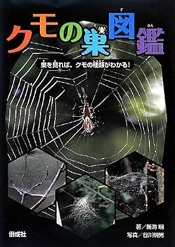 Tankobon Hardcover Cobweb picture book [Japanese] Book