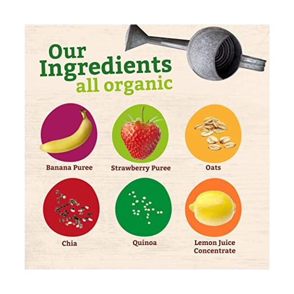 Pumpkin-Tree-Organics-Super-Oats-Seeds-Banana-Strawberry-Fruit-Packet-4-oz-Pack-of-10 Pumpkin Tree Organics Super Oats & Seeds, Banana & Strawberry Fruit Packet, 4 Ounce (Pack of 10)