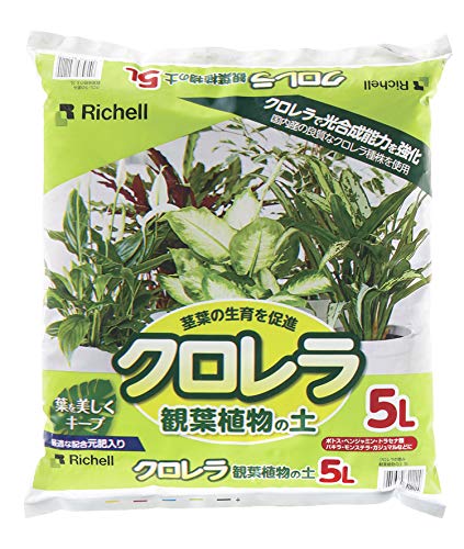 b`F Richell Ňb ϗtA̓y 5L 184121