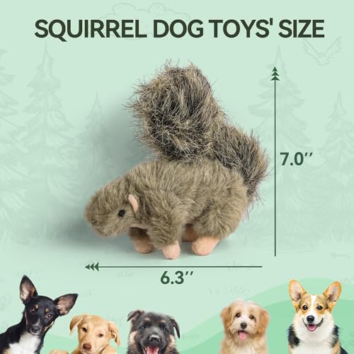 ALL FOR PAWS Classic Squirrel Pet Toys, Small - Image 3