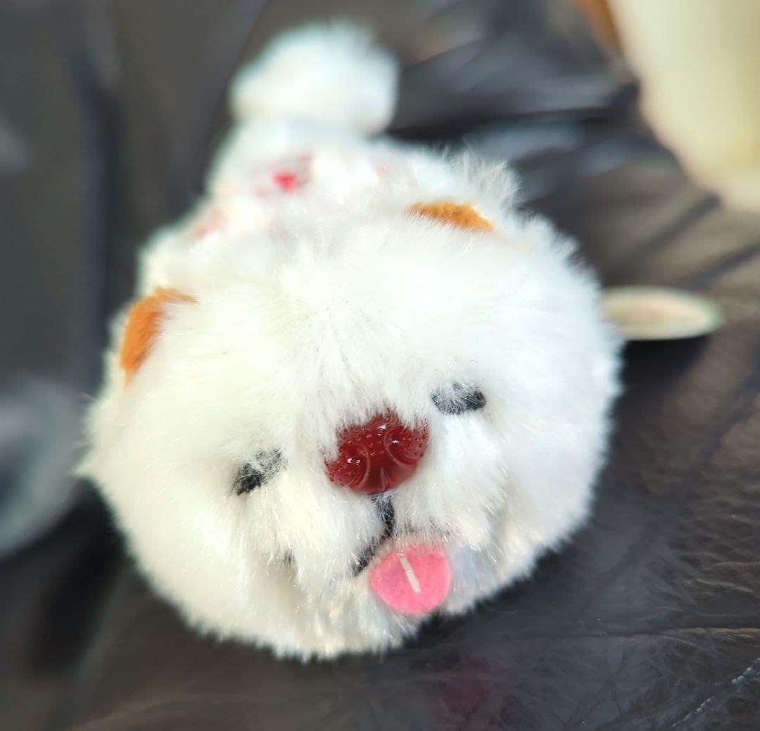 Amazon.co.jp: 青森青森鰺ヶ沢限定ブサカワブサかわ犬ブサかわ犬