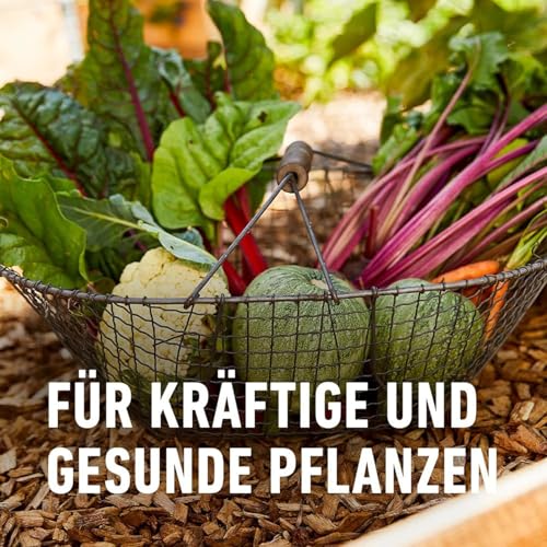 COMPO Garten Langzeit-Dünger 2 kg
