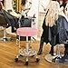 Yaheetech Rolling Stool Adjustable Spa Chair with Wheels Small Round Stool Shop Tattoo Chair, Pink