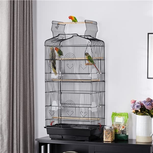 Cage à Oiseaux Décorative en Métal avec Toit Ouvrable, Balançoire, Perchoirs, Plateau Coulissant