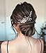 Produktbild Unicra Braut Hochzeit Haarkamm Kristall Haarschmuck Brautschmuck Blumen Haarschmuck für Frauen und Mädchen
