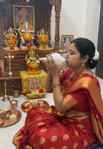 Image of Original Vamavarti Shankh for Pooja| Baynavarti Natural Conch for Puja, Temple, Home Decor, Mandir, Spiritual Use| Auspicious Loud Blowing Shankh for Vastu, Prosperity (12-15 cm)