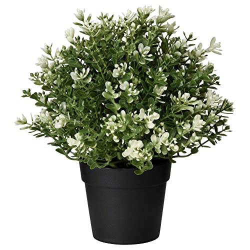 Image of Artificial Potted Plant Thyme | Realistic Polyethylene Plastic Greenery for Home, Office & Table Decor | Low Maintenance Faux Plant with Pot for Indoor Decoration & Gifting (Green)