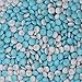 M&M's Light Blue & White Milk Chocolate Candy 1LB Bag
