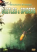その他 Nature: Spiders & Snakes [DVD] Amazon.com: Spiders Documentary: Movies & TV