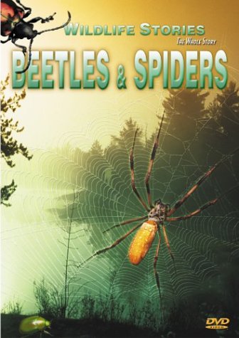 Wildlife Stories - The Whole Story: Beetles & Spiders [DVD]