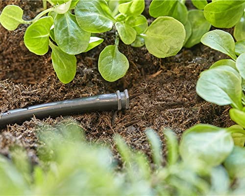 Bouchon 316 4.6mm MDS 13215 26 Boite de 20 pièces - vue 4