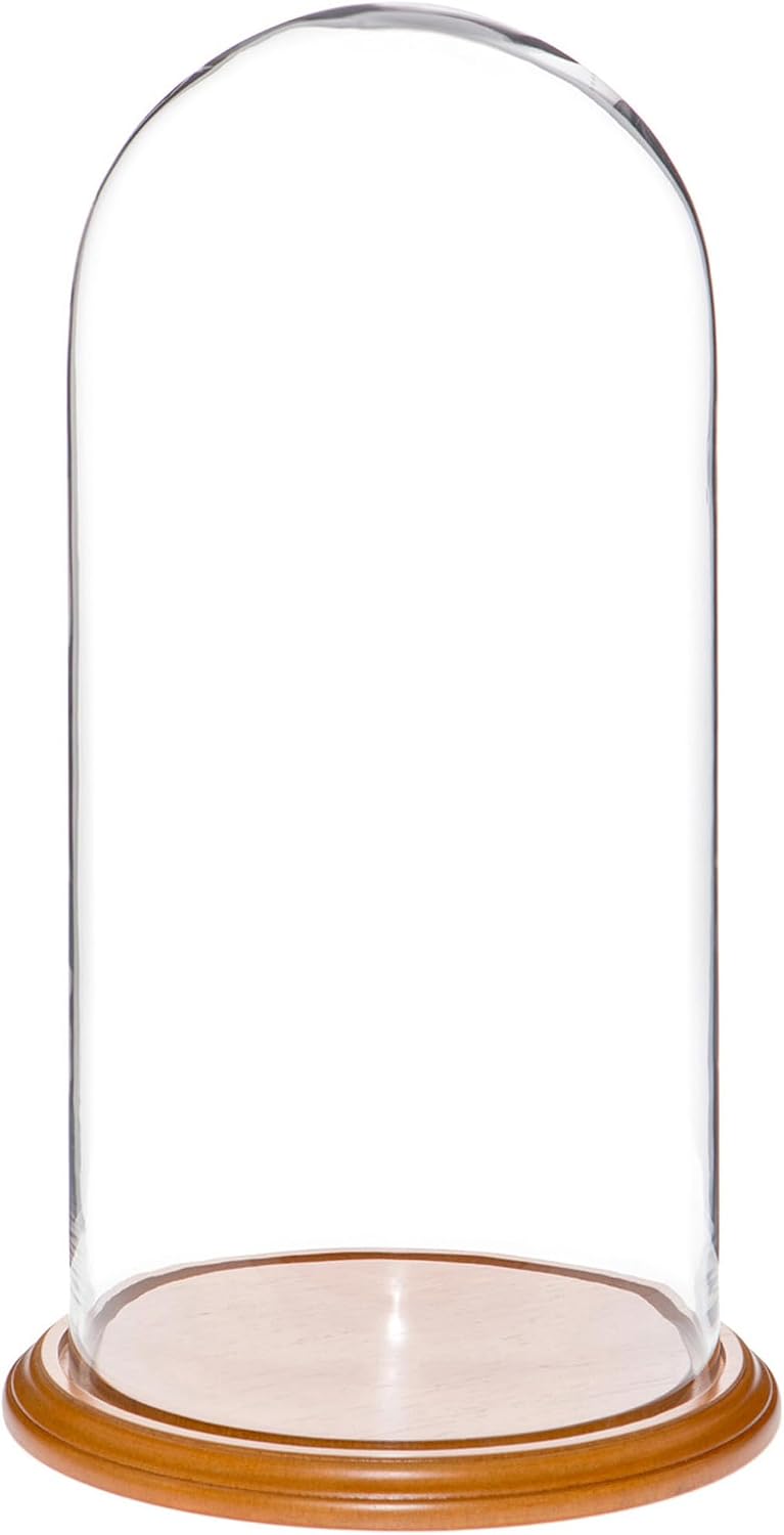 Plymor 9.75" x 20" Glass Display Dome Cloche (Dark Mahogany Veneer Base)