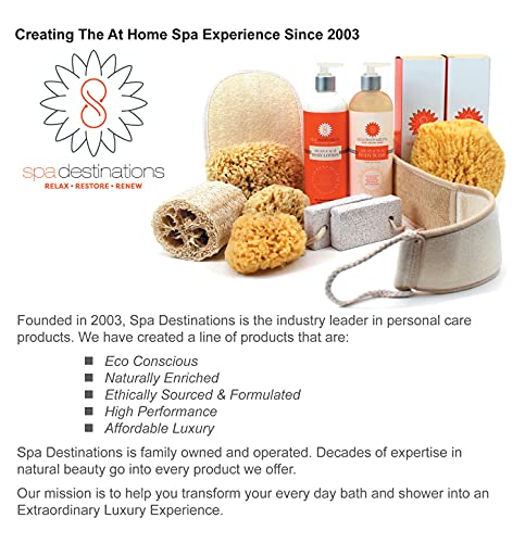 Facial Sea Wool Sponge 2-3" (3) Pack By Spa Destinations #TOP2