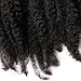 Alica 3 Packs Afro Kinky Marley Braids Hair Extensions Kanekalon Synthetic Twist Crochet Braiding Hair for Women 18 inchs (18