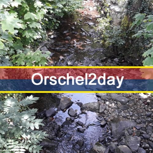 『Orschel2day』のカバーアート