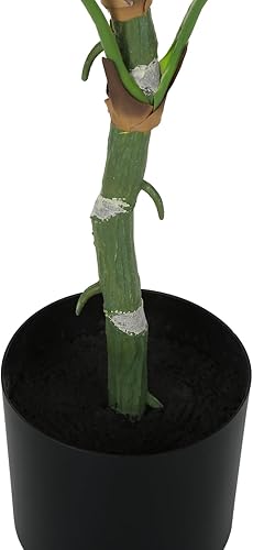 Miniatura 3 de Monarch Specialties I 9519 Planta artificial, 54 pulgadas de alto, árbol de Dieffenbachia, interior, falso, falso, suelo, vegetación, maceta, tacto
