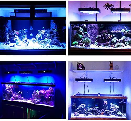 超激得sale Huanyu アクアリウム ライト 水槽用照明 リモコン 55led 水草育成 観賞魚 熱帯魚 金魚 白 赤 青3色 水陸両用 Applepress Ca