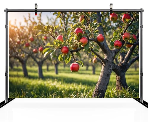 Fondo Fotográfico 7x5ft Manzanas Rojas Otoño miniatura 3