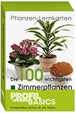 Die 100 wichtigsten Zimmerpflanzen Pflanzen-Lernkarten