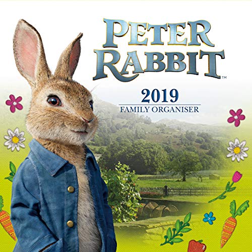 Télécharger Peter Rabbit Family Organiser Official 2019 Calendar - Square Wall Calendar Format PDF