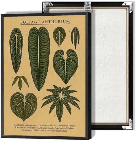 Vintage Botanical Poster Foliage Anthurium Plant Wall Art Tropica...