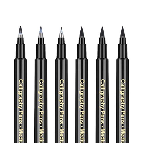 Buy Caligraphy Pen kits for Beginners 6 Pack Calligraphy Pens, Modern