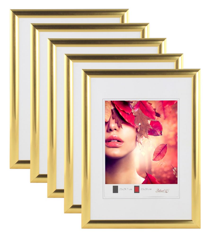 IDEAL TREND 3er 5er Pack Art Line Kunststoff Bilderrahmen Wanddeko Collage Poster Fotorahmen Bildträger: Farbe: 5er Gold | Format: 30x40