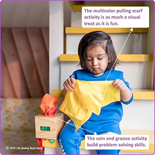 Combo-Offer-Pack-of-3-Brainy-Bear-Subscription-Boxes-4-12-Months-Learning-wooden-toys-toddlers-babies-preschoolers-Birthday-Gifts-Learning-toys-for-girls-boys-Early-Child-Development-Sensory-Learning-