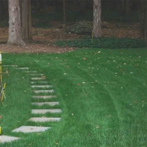 Outsidepride Legacy Fine Fescue