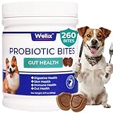 260 Bites Wellix Probiotics for Dogs - Dog Probiotics and Prebiotics with Pumkin - Improve Digestive Health, Allergies and Itchy Skin Relief Natural Gut Health Supplements for Small Medium Senior Dog