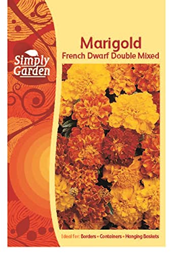 Simply Garden Marigold French Dwarf Double Mixed Seeds Grow Your Own Flowers