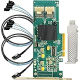 Conectores internos: dos Mini-SAS SFF8087