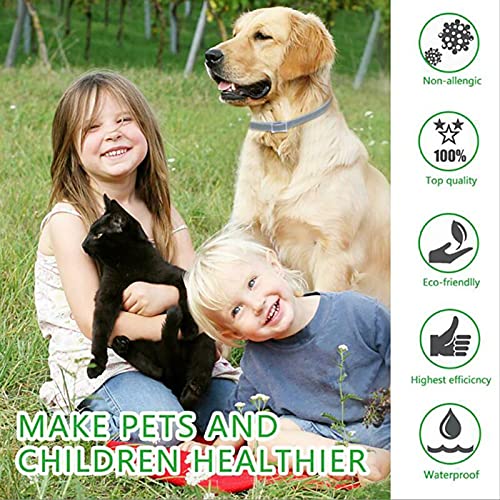 Cuier Pet combs, electric pet combs, cat combs/dog combs, grooming combs can effectively remove floating hair, suitable… - Image 3