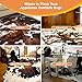 Appaloosa Cowhides Genuine Cowhide Rug - Natural Leather Hide Rugs for Living Room & Area Rug for Bedroom - Real Cowhides Rug for Rustic Home Decor - Original Tricolor Cowhide Rugs Collection
