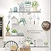 YFKSLAY Adesivi murali pianta e mensola Verticale Vetro da Parete Giardino Colori Pastello Vinile. Cucina Bagno dispensa terrazza Negozio vetrina Pasticceria Loft
