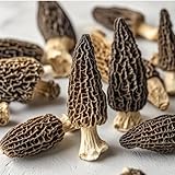 Dried Mushrooms Morel Mushrooms 2oz, Dried Mushrooms For Cooking Dehydrated Mushrooms Shipping from California, U.S.